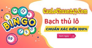 Soi cầu bạch thủ lô