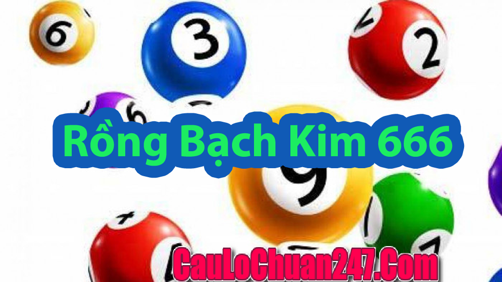 Rồng Bạch Kim 666 hôm nay