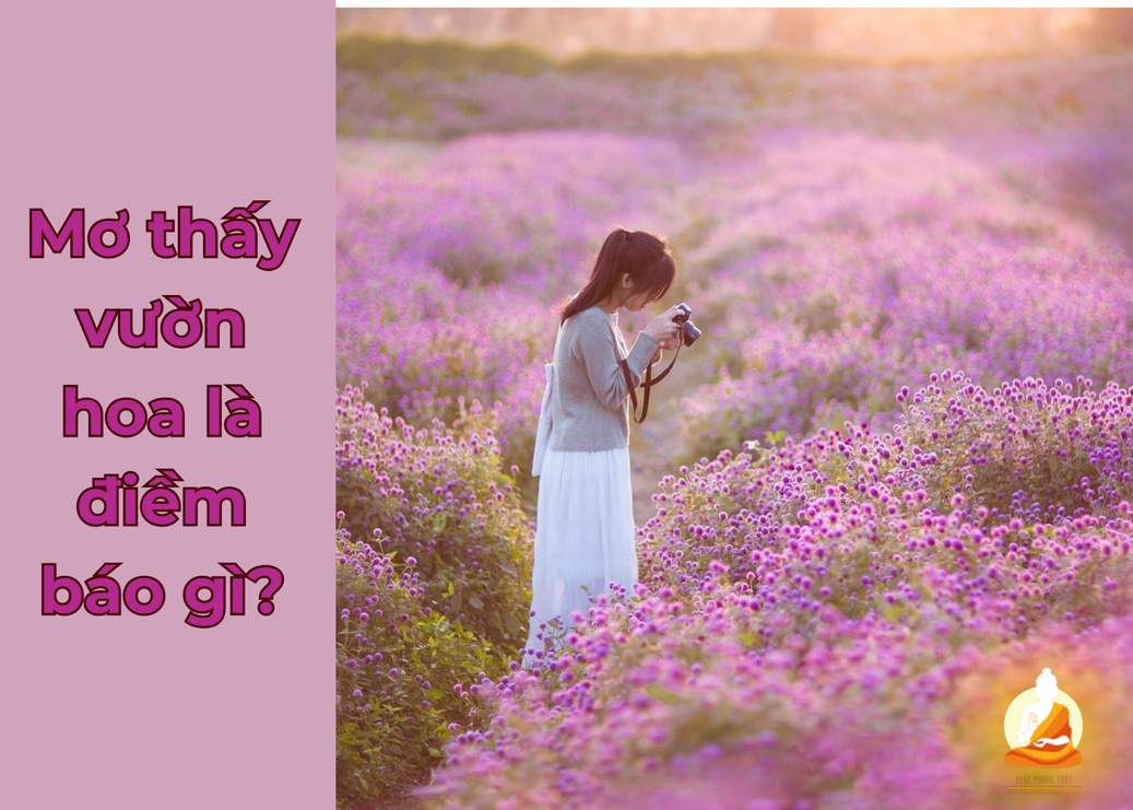 Giải mã giấc mơ thấy vườn hoa