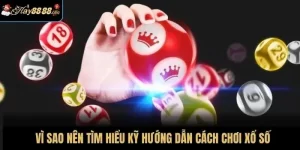 Vì sao nên tìm hiểu kỹ hướng dẫn cách chơi xổ số