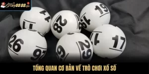 Tổng quan cơ bản về trò chơi XS