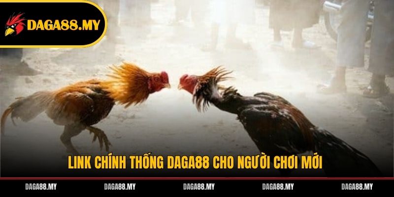 Link chính thống DAGA88 cho người chơi mới