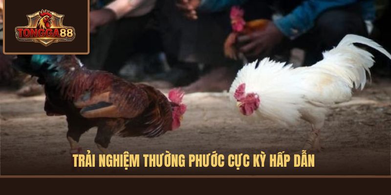 Trải nghiệm Thường Phước cực kỳ hấp dẫn