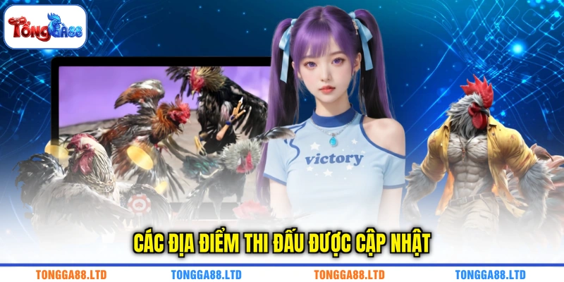 Các địa điểm thi đấu được cập nhật