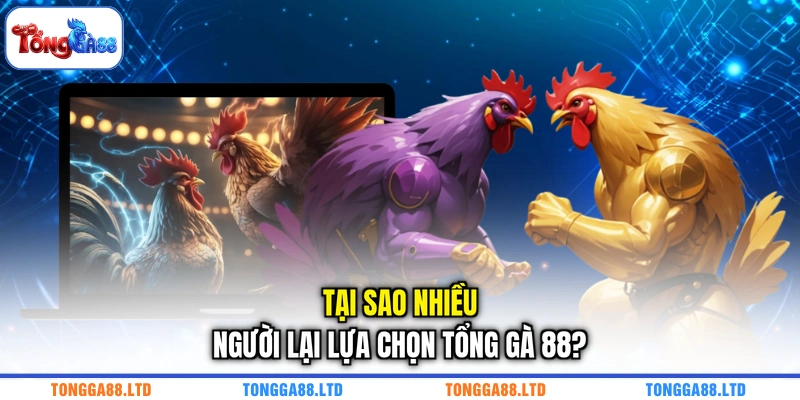 Tại sao nhiều người lại lựa chọn TỔNG GÀ 88?