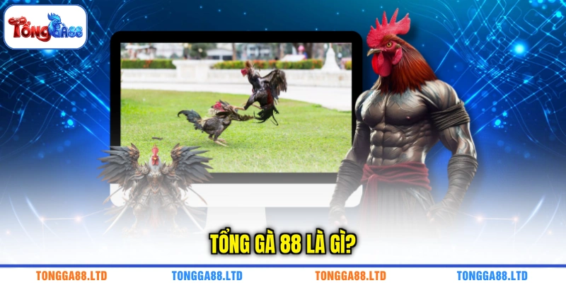 TỔNG GÀ 88 là gì?