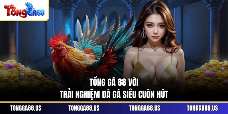 TỔNG GÀ 88 với trải nghiệm đá gà siêu cuốn hút
